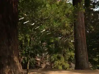 妙義神社の{uncategorized: "未分類", other: "その他", undefined: "問題あり", building: "その他建物", grave: "お墓", sacred_gate: "鳥居", guardian: "狛犬", statue: "像", buddha: "仏像", history: "歴史", nature: "自然", garden: "庭園", animal: "動物", pagoda: "塔", temizu: "手水舎", mountain_gate: "山門・神門", sanctuary: "本殿・本堂", subordinate: "末社・摂社", art: "芸術", scenery: "景色", jizo: "地蔵", ema: "絵馬", goshuin: "御朱印", omikuji: "おみくじ", items: "授与品その他", amulet: "お守り", goshuincho: "御朱印帳", eats: "食事", festival: "お祭り", votive_dance: "神楽", shichigosan: "七五三参", wedding: "結婚式", experience: "体験その他", initially: "初詣", around: "周辺", anti_infection: "感染症対策"}