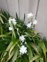 西方山極楽寺(岐阜県)