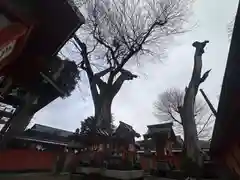 春日神社(京都府)