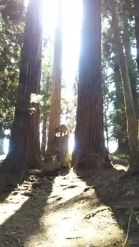 熊野神社の自然