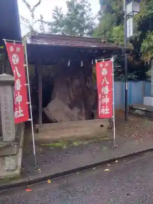 白岡八幡神社(埼玉県)