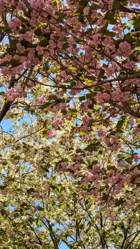 圓光寺(京都府)