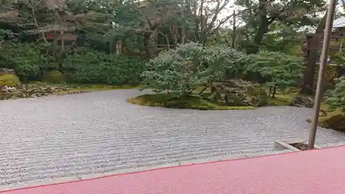 圓徳院(京都府)