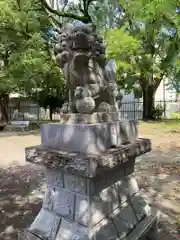 於菊稲荷神社の狛犬