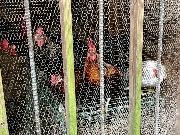 石上神宮(奈良県)