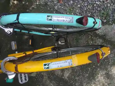 今熊野観音寺(京都府)