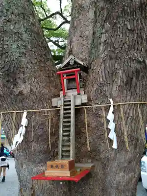 加藤神社(熊本県)
