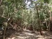 胡禄神社の自然