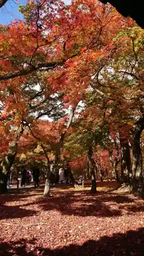 東福禅寺（東福寺）の{uncategorized: "未分類", other: "その他", undefined: "問題あり", building: "その他建物", grave: "お墓", sacred_gate: "鳥居", guardian: "狛犬", statue: "像", buddha: "仏像", history: "歴史", nature: "自然", garden: "庭園", animal: "動物", pagoda: "塔", temizu: "手水舎", mountain_gate: "山門・神門", sanctuary: "本殿・本堂", subordinate: "末社・摂社", art: "芸術", scenery: "景色", jizo: "地蔵", ema: "絵馬", goshuin: "御朱印", omikuji: "おみくじ", items: "授与品その他", amulet: "お守り", goshuincho: "御朱印帳", eats: "食事", festival: "お祭り", votive_dance: "神楽", shichigosan: "七五三参", wedding: "結婚式", experience: "体験その他", initially: "初詣", around: "周辺", anti_infection: "感染症対策"}