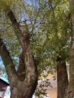 三本松不動院の自然