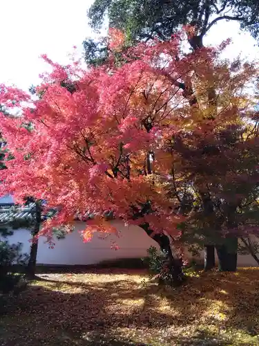 相国寺（相国承天禅寺）(京都府)