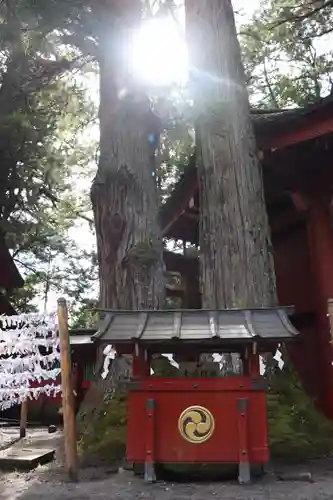 日光二荒山神社(栃木県)