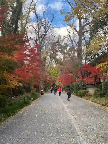 賀茂御祖神社（下鴨神社）の景色