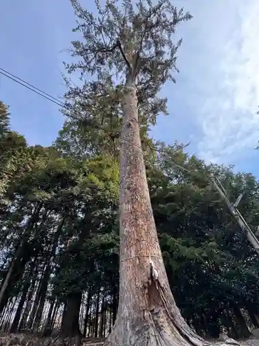 滑川神社 - 仕事と子どもの守り神(福島県)
