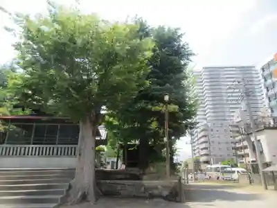 浅間神社(埼玉県)
