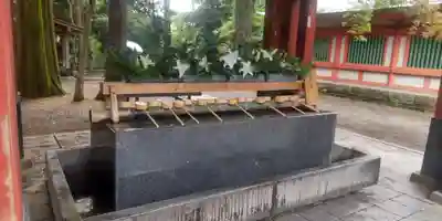 武蔵一宮氷川神社(埼玉県)
