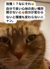 専念寺の動物