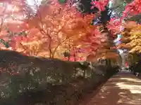 金剛峰寺大伽藍金堂(和歌山県)