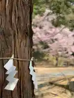 土津神社|こどもと出世の神さまの自然