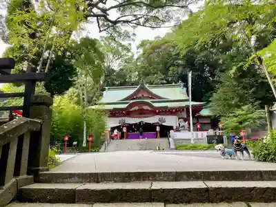 來宮神社(静岡県)