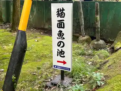 伊吹の瀧不動明王(岐阜県)