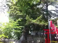 玉前神社の自然