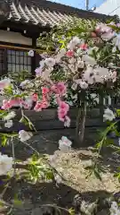 六孫王神社(京都府)