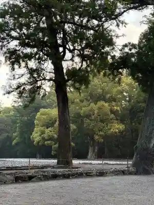 伊勢神宮外宮（豊受大神宮）の{uncategorized: "未分類", other: "その他", undefined: "問題あり", building: "その他建物", grave: "お墓", sacred_gate: "鳥居", guardian: "狛犬", statue: "像", buddha: "仏像", history: "歴史", nature: "自然", garden: "庭園", animal: "動物", pagoda: "塔", temizu: "手水舎", mountain_gate: "山門・神門", sanctuary: "本殿・本堂", subordinate: "末社・摂社", art: "芸術", scenery: "景色", jizo: "地蔵", ema: "絵馬", goshuin: "御朱印", omikuji: "おみくじ", items: "授与品その他", amulet: "お守り", goshuincho: "御朱印帳", eats: "食事", festival: "お祭り", votive_dance: "神楽", shichigosan: "七五三参", wedding: "結婚式", experience: "体験その他", initially: "初詣", around: "周辺", anti_infection: "感染症対策"}