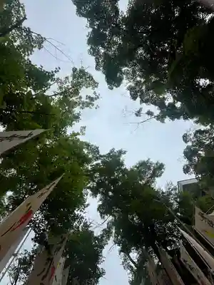 小鹿神社(埼玉県)