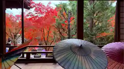 勝林寺(京都府)