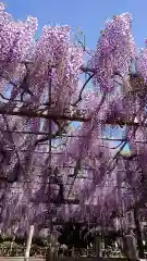 玉敷神社の庭園