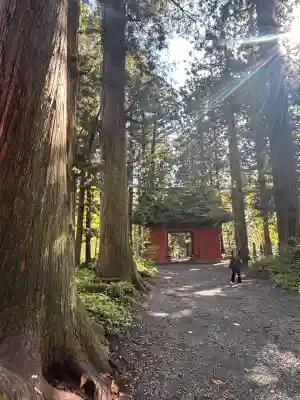 戸隠神社奥社(長野県)