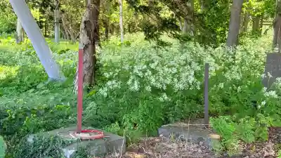 恵庭神社(北海道)