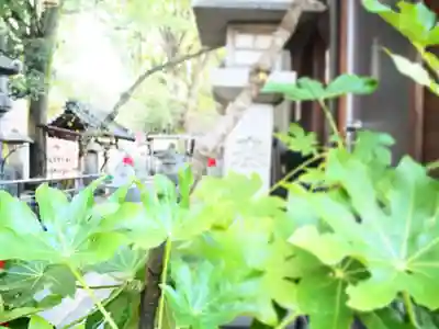浅間神社（那古野浅間神社）の自然