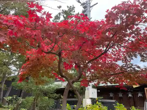 白山神社(新潟県)