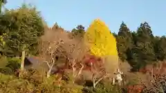 普濟寺の自然