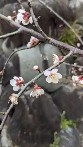 太部古天神社(岐阜県)