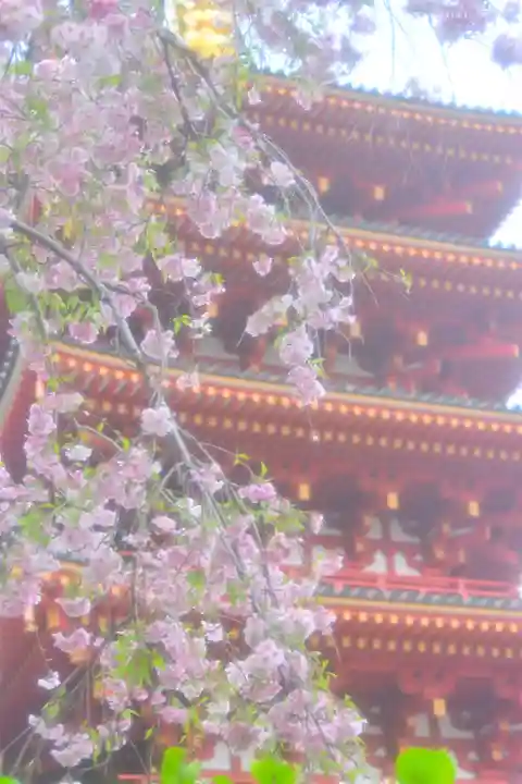 高幡不動尊 金剛寺(東京都)