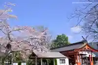 秩父今宮神社の自然
