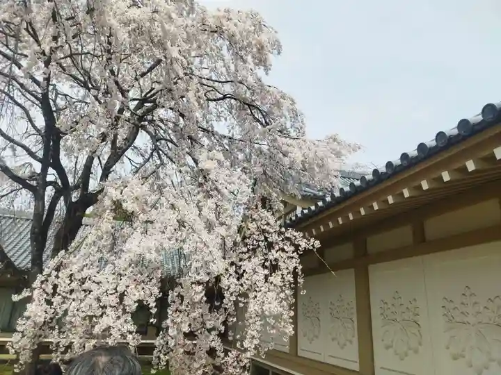 宝聚院(京都府)