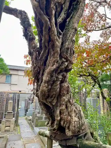 長安寺(東京都)