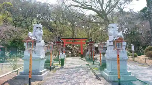 高山稲荷神社の狛犬