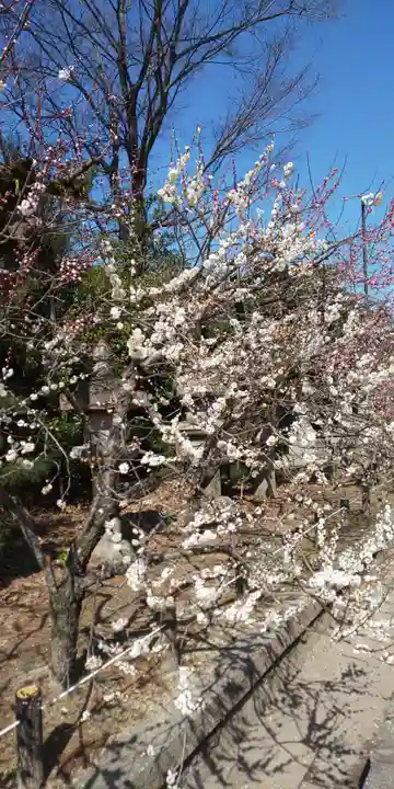 北野天満宮(京都府)