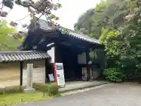 不退寺の{uncategorized: "未分類", other: "その他", undefined: "問題あり", building: "その他建物", grave: "お墓", sacred_gate: "鳥居", guardian: "狛犬", statue: "像", buddha: "仏像", history: "歴史", nature: "自然", garden: "庭園", animal: "動物", pagoda: "塔", temizu: "手水舎", mountain_gate: "山門・神門", sanctuary: "本殿・本堂", subordinate: "末社・摂社", art: "芸術", scenery: "景色", jizo: "地蔵", ema: "絵馬", goshuin: "御朱印", omikuji: "おみくじ", items: "授与品その他", amulet: "お守り", goshuincho: "御朱印帳", eats: "食事", festival: "お祭り", votive_dance: "神楽", shichigosan: "七五三参", wedding: "結婚式", experience: "体験その他", initially: "初詣", around: "周辺", anti_infection: "感染症対策"}