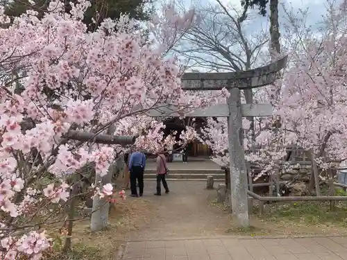 新城藤原神社の鳥居