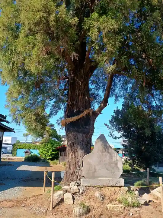 香取神社の{uncategorized: "未分類", other: "その他", undefined: "問題あり", building: "その他建物", grave: "お墓", sacred_gate: "鳥居", guardian: "狛犬", statue: "像", buddha: "仏像", history: "歴史", nature: "自然", garden: "庭園", animal: "動物", pagoda: "塔", temizu: "手水舎", mountain_gate: "山門・神門", sanctuary: "本殿・本堂", subordinate: "末社・摂社", art: "芸術", scenery: "景色", jizo: "地蔵", ema: "絵馬", goshuin: "御朱印", omikuji: "おみくじ", items: "授与品その他", amulet: "お守り", goshuincho: "御朱印帳", eats: "食事", festival: "お祭り", votive_dance: "神楽", shichigosan: "七五三参", wedding: "結婚式", experience: "体験その他", initially: "初詣", around: "周辺", anti_infection: "感染症対策"}