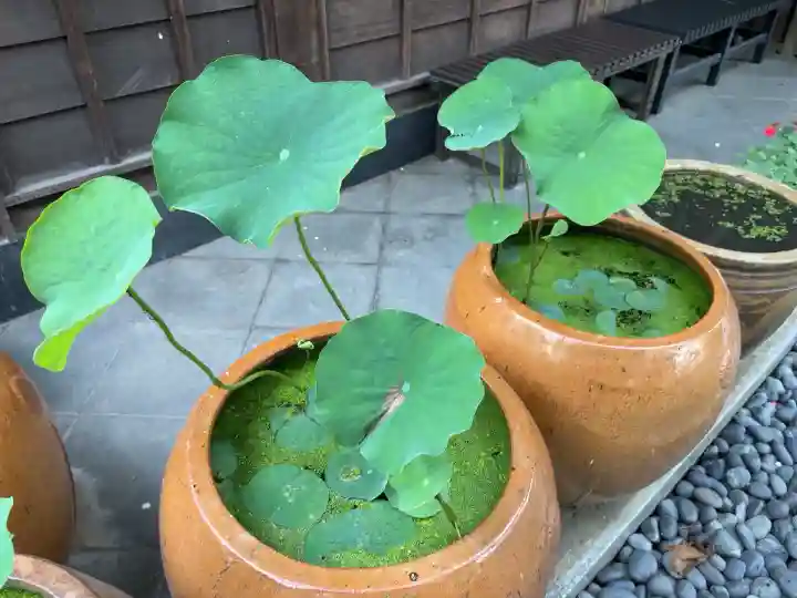 泥牛庵(神奈川県)