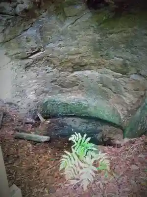 城守稲荷神社の自然