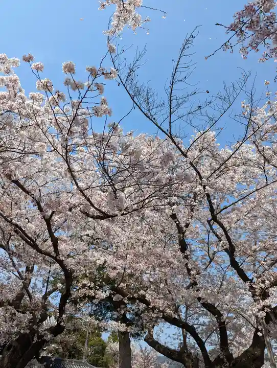 本願寺山科別院(京都府)