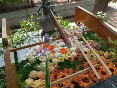 阿部野神社(大阪府)